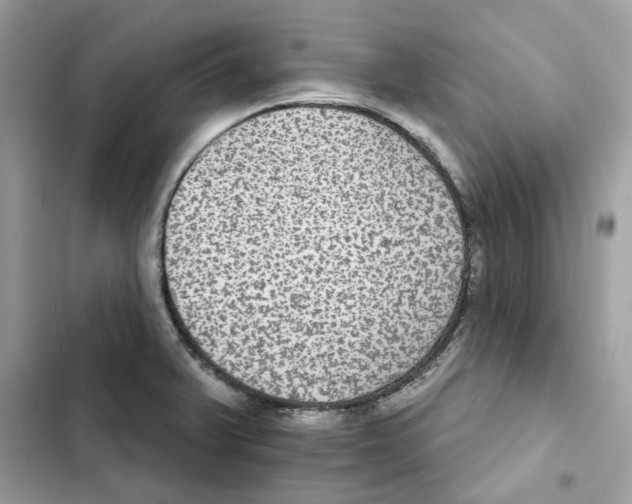 X0000101971375200808151328