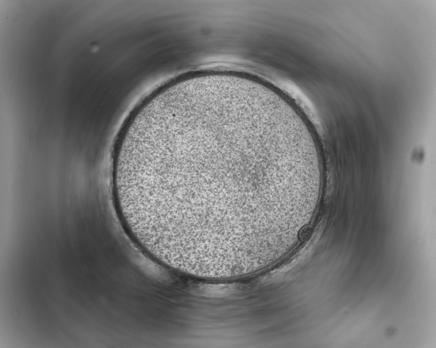 X0000101971376200808151328