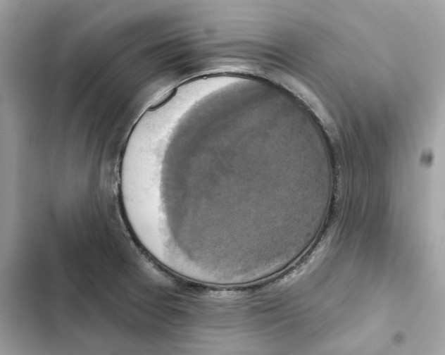 X0000101971377200808151328