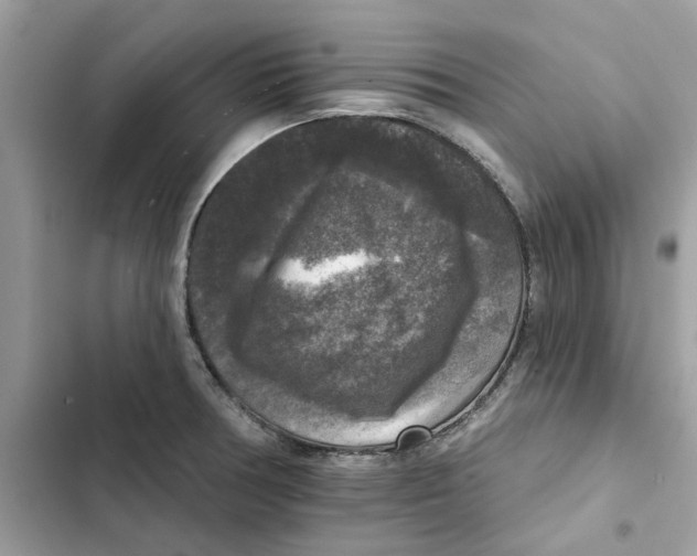 X0000101971378200808151328