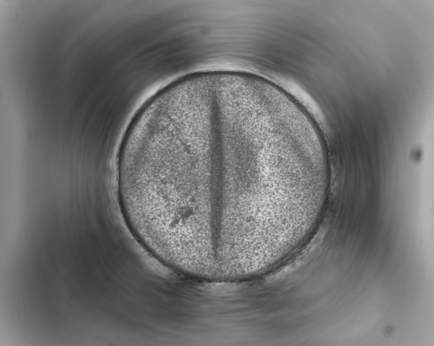 X0000101971380200808151328