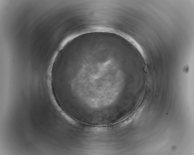 X0000101971381200808151328