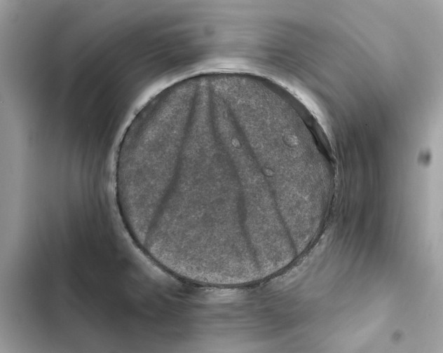 X0000101971382200808151328