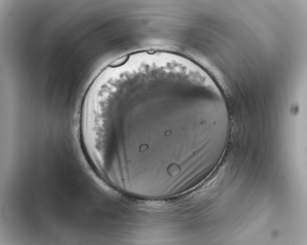 X0000101971383200808151328