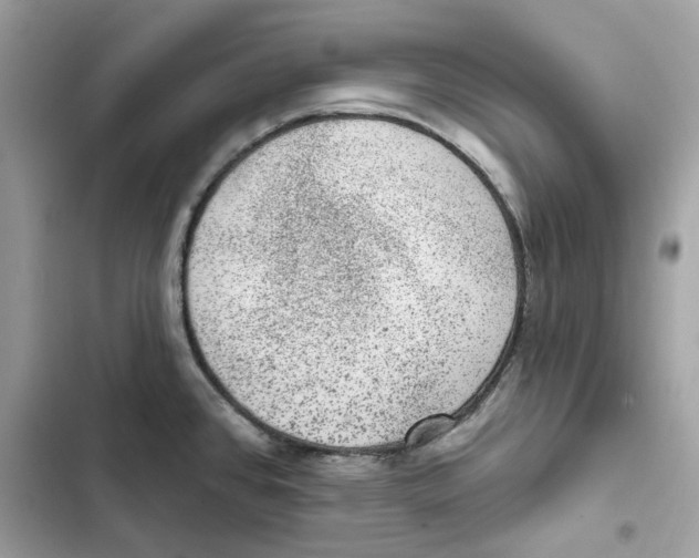X0000101971384200808151328