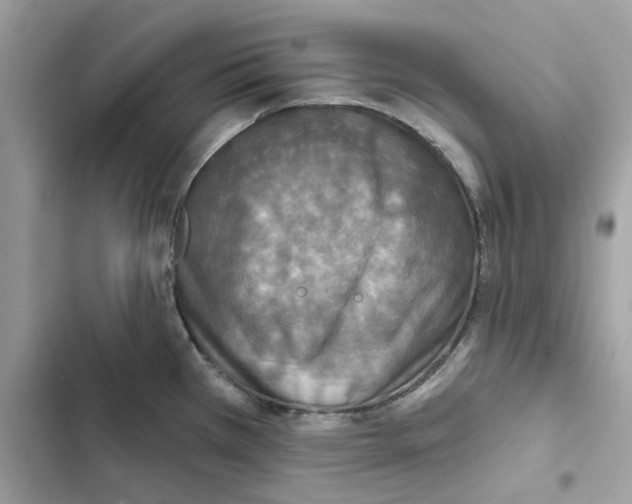 X0000101971385200808151328