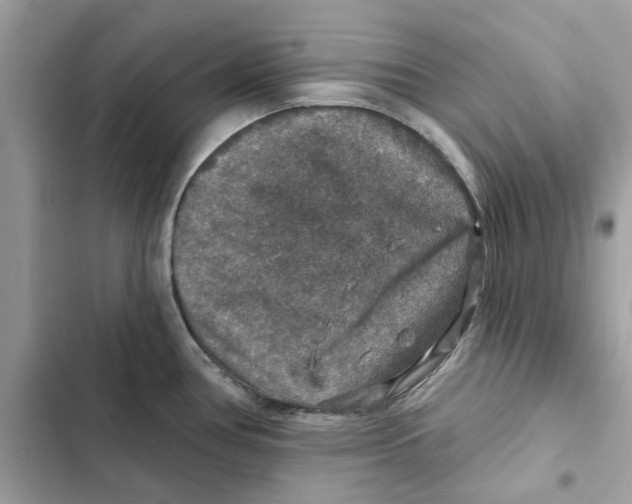 X0000101971386200808151328