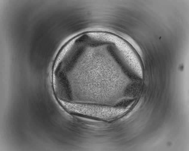 X0000101971388200808151328