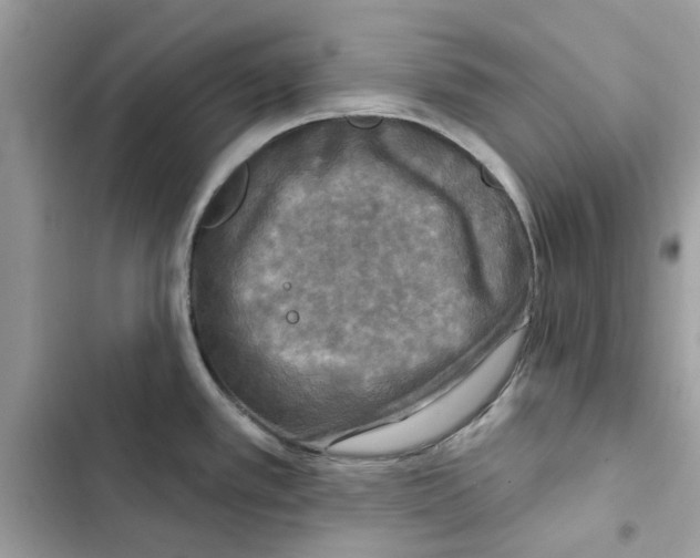X0000101971389200808151328