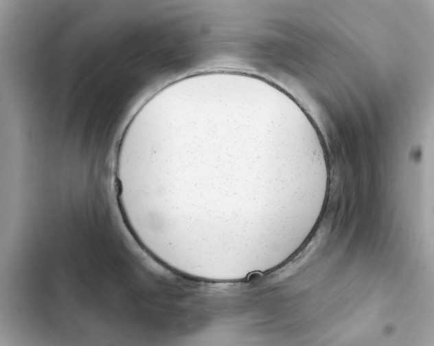 X0000101971390200808151328