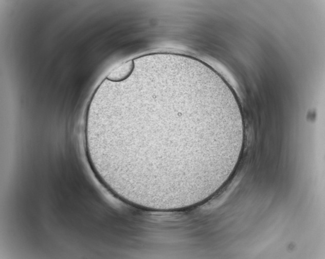 X0000101971391200808151328