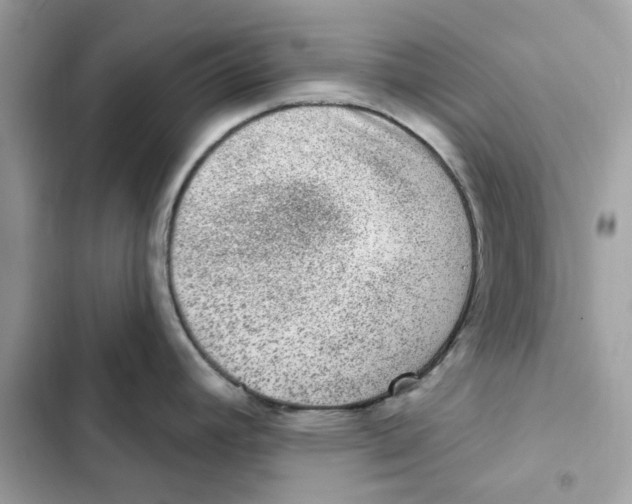 X0000101971392200808151328