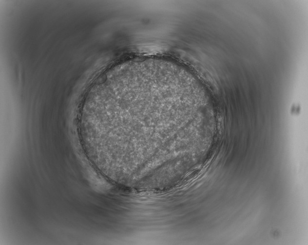 X0000101971393200808151327