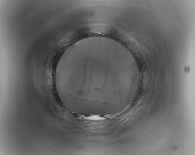 X0000101971394200808151327