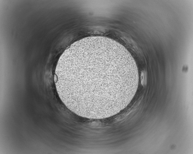 X0000101971395200808151327
