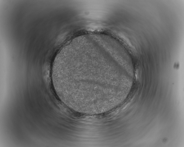 X0000101971396200808151327
