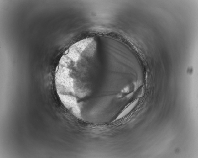 X0000101971397200808151327