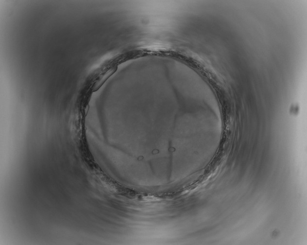X0000101971398200808151327