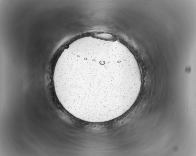 X0000101971400200808151327