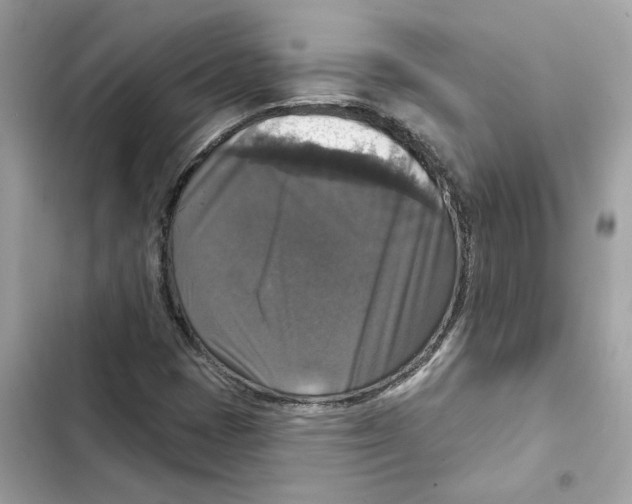 X0000101971401200808151327
