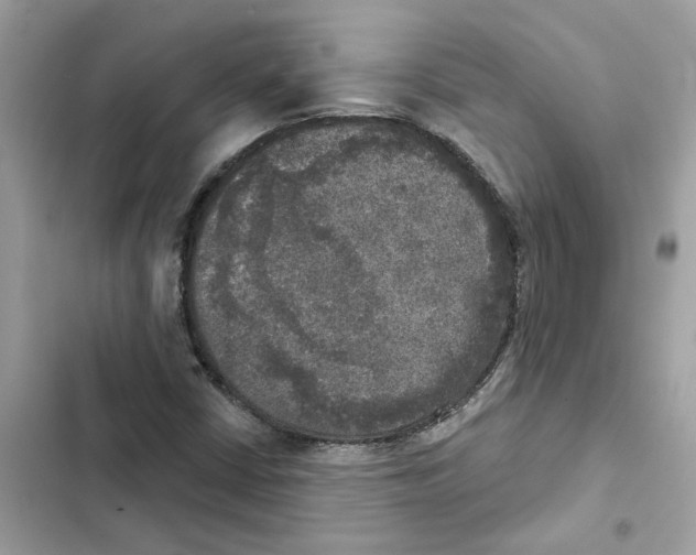 X0000101971402200808151327