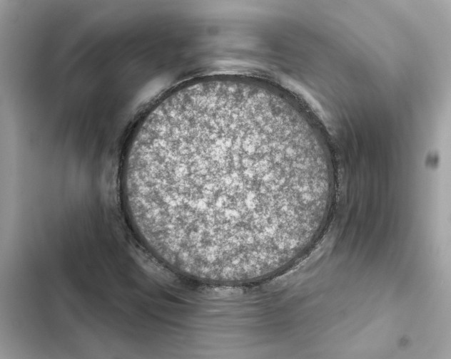 X0000101971403200808151327