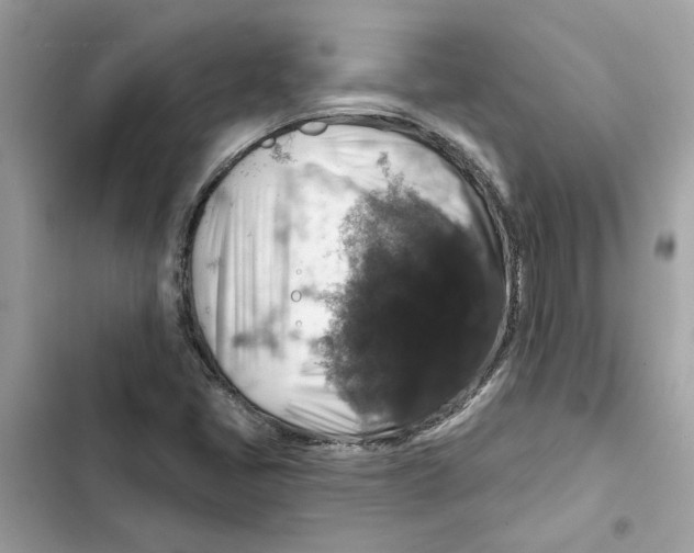 X0000101971405200808151327