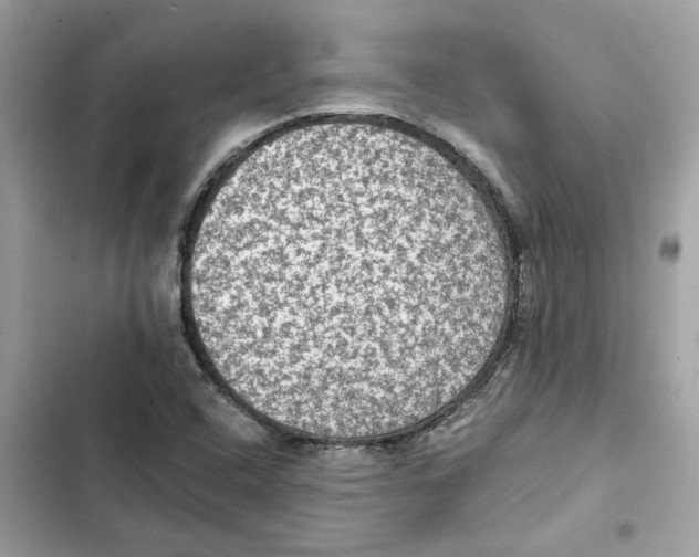 X0000101971408200808151327