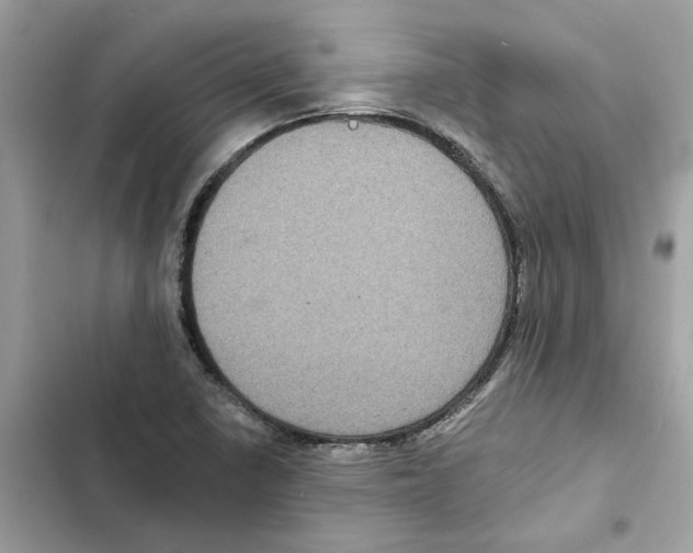 X0000101971410200808151327