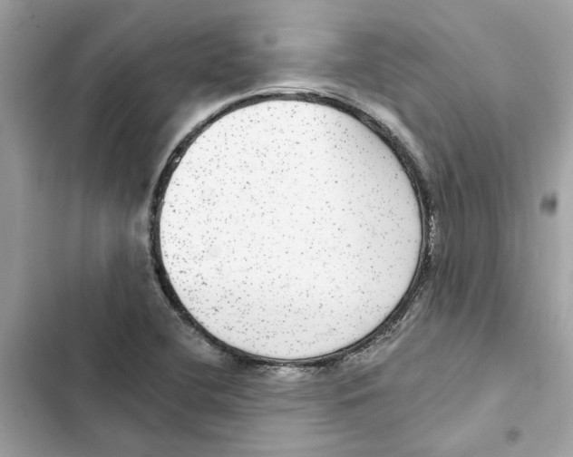 X0000101971412200808151327