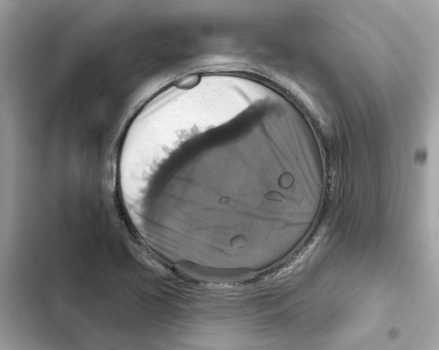 X0000101971413200808151327