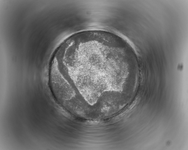 X0000101971415200808151327