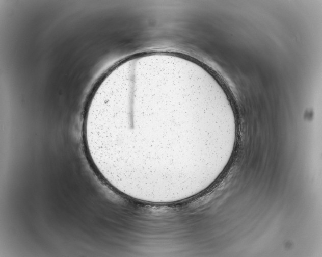 X0000101971416200808151327
