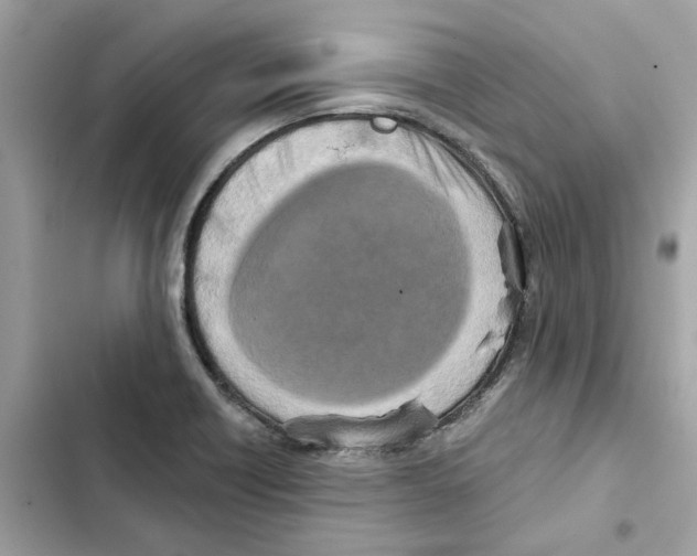 X0000101971418200808151327