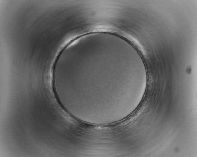X0000101971419200808151327