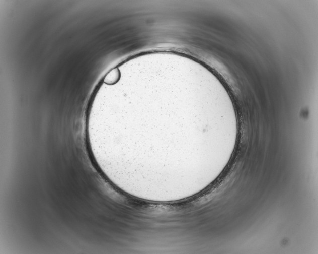 X0000101971420200808151327