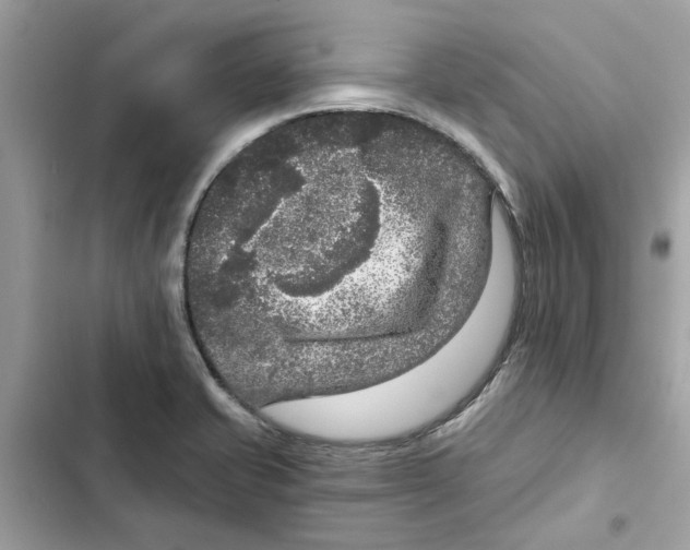 X0000101971421200808151327