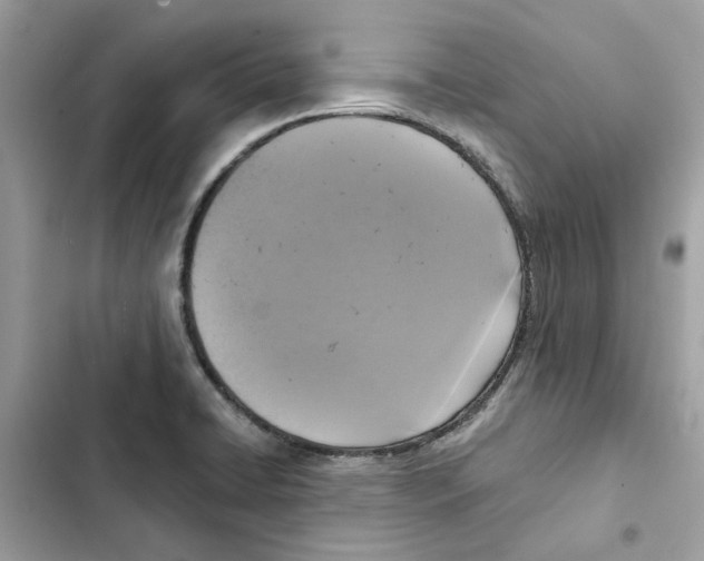 X0000101971422200808151327