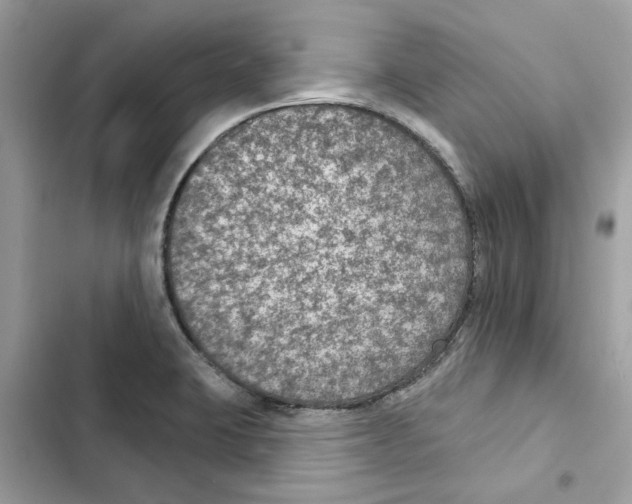 X0000101971423200808151327