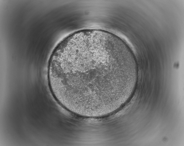 X0000101971424200808151327