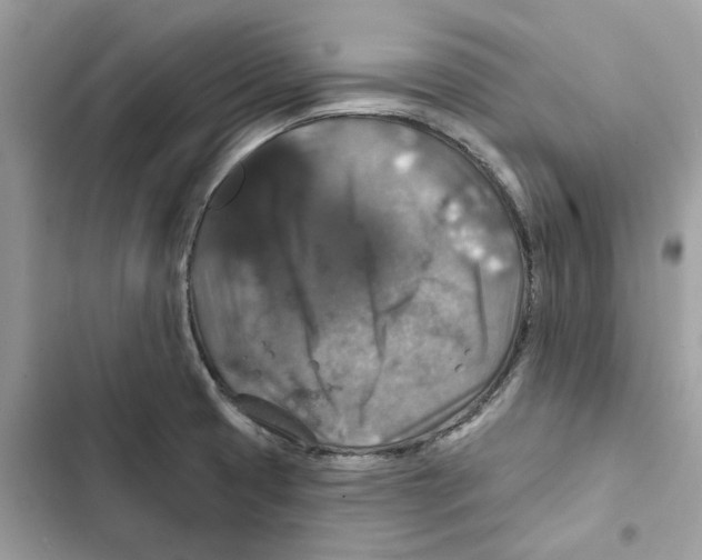X0000101971425200808151327