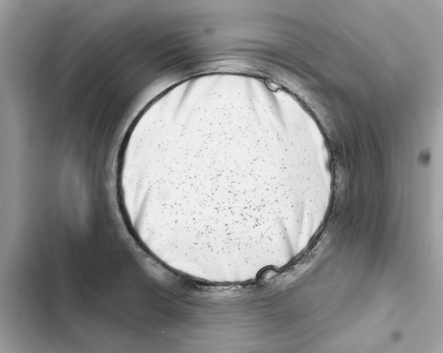 X0000101971426200808151327