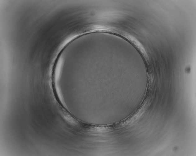 X0000101971427200808151327