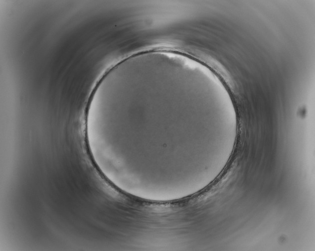 X0000101971428200808151327