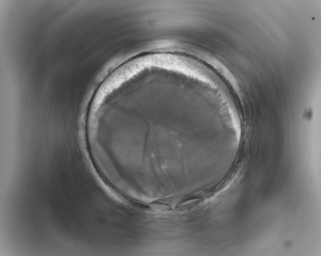 X0000101971429200808151327
