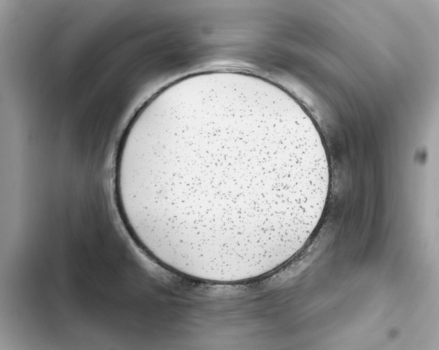X0000101971430200808151327
