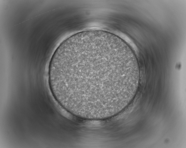 X0000101971431200808151327
