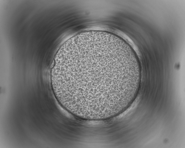 X0000101971433200808151327