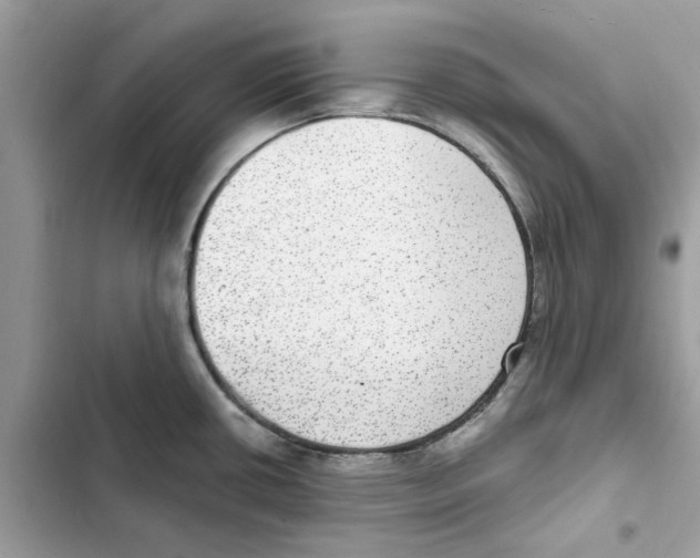 X0000101971434200808151328