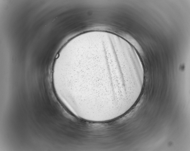 X0000101971436200808151328